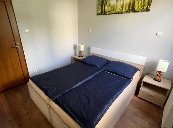 Levi's Wellness Apartmán *